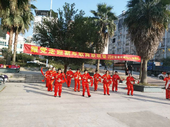 会"在艺墅森邻广场举行,社区党员,居民组长及文体骨干筹备了歌曲,舞蹈